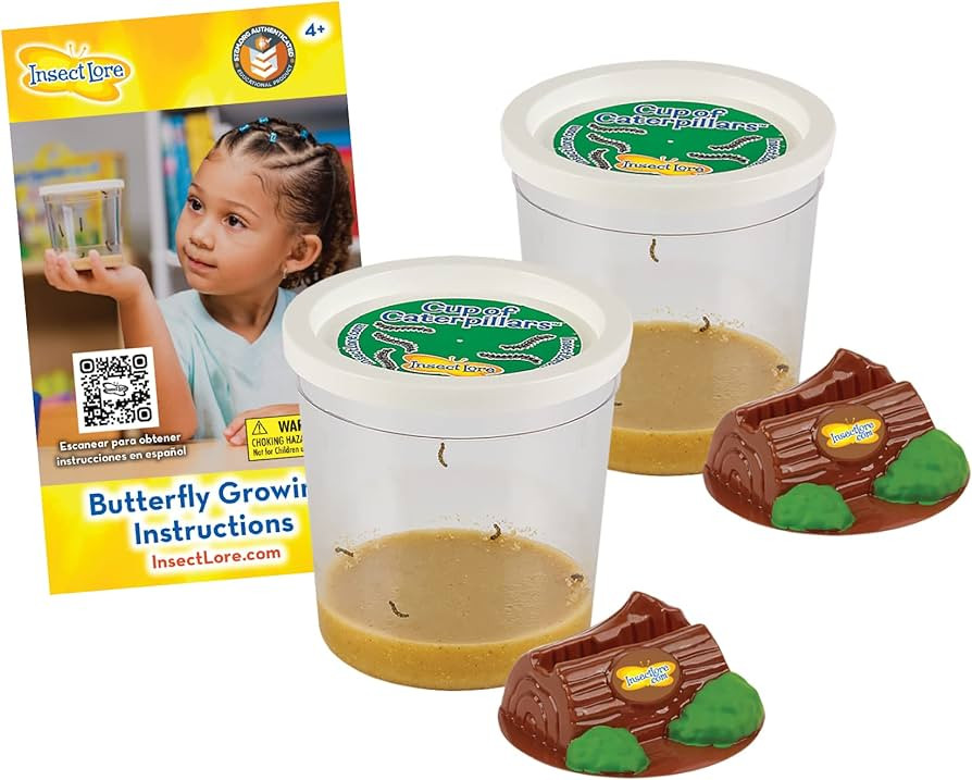 Insect Lore Two Cups of Caterpillars - Butterfly Garden Kit Refill – Raise and Release Painted ... | Amazon (US)