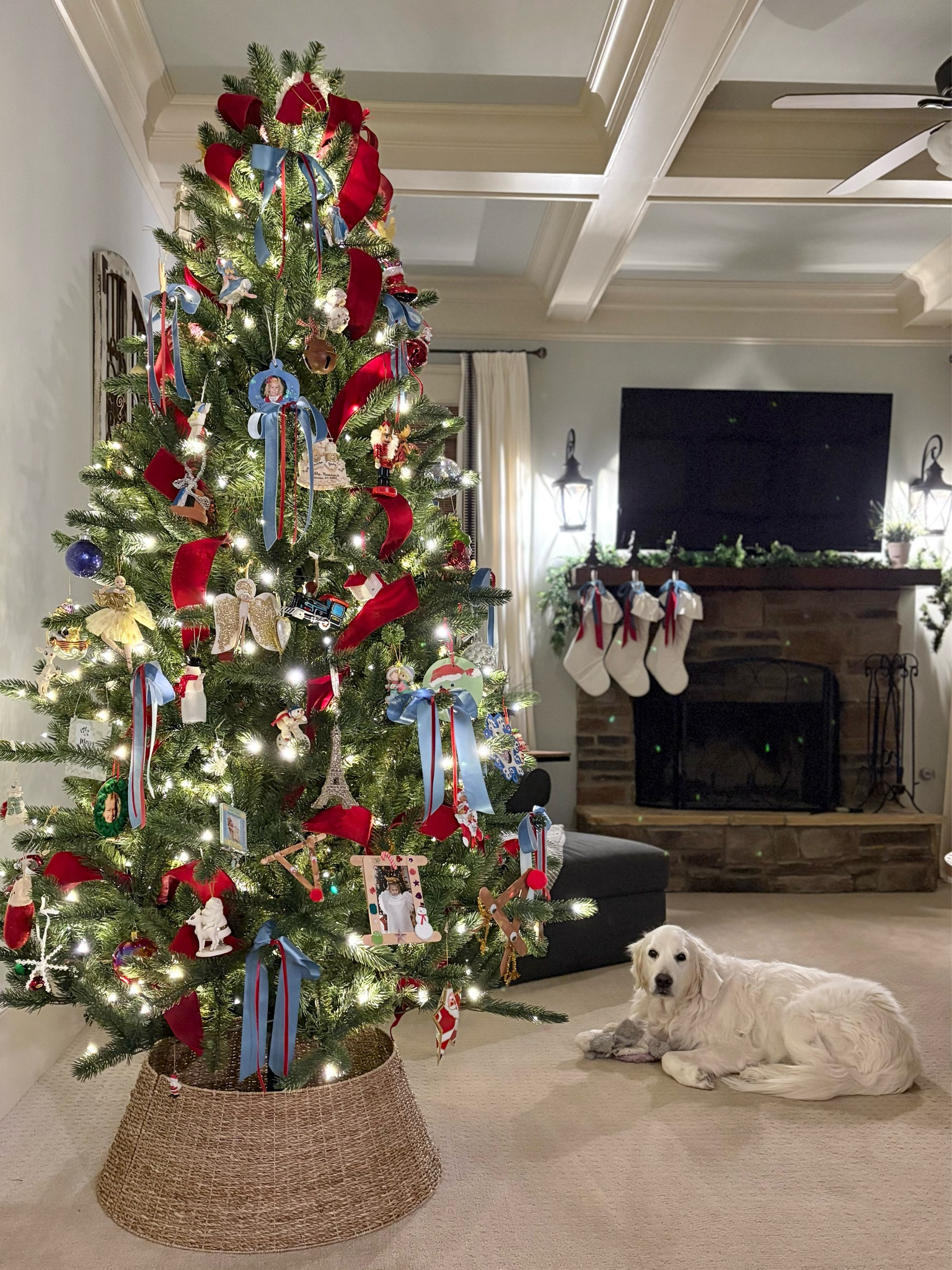 This woven tree collar and 7.5 foot pre-lit tree are both super affordable (from Walmart!) and make my living room my fav place to be each night! 🎄

#LTKSeasonal #LTKFindsUnder50 #LTKHoliday