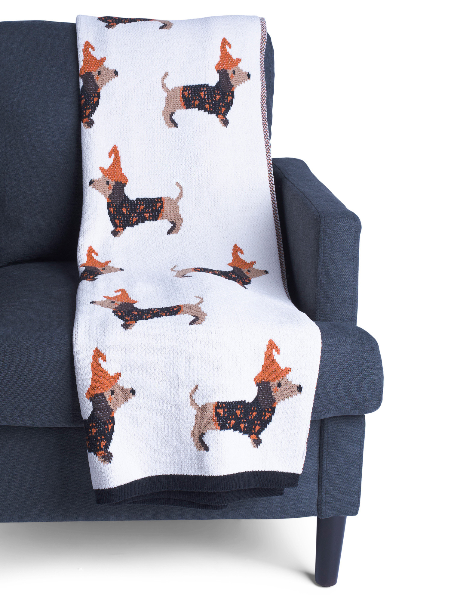Dachschund Dog In A Sweater Throw | TJ Maxx