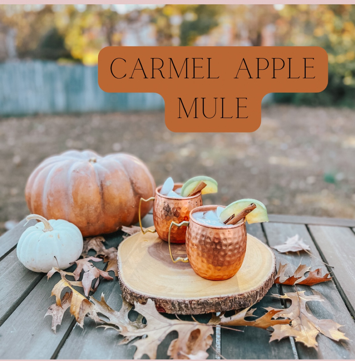 Recipe on my Instagram!

Mule mugs | copper | fall entertaining | drink ware | thanksgiving | cocktail | bar | glassware 



#LTKhome #LTKSeasonal #LTKHoliday