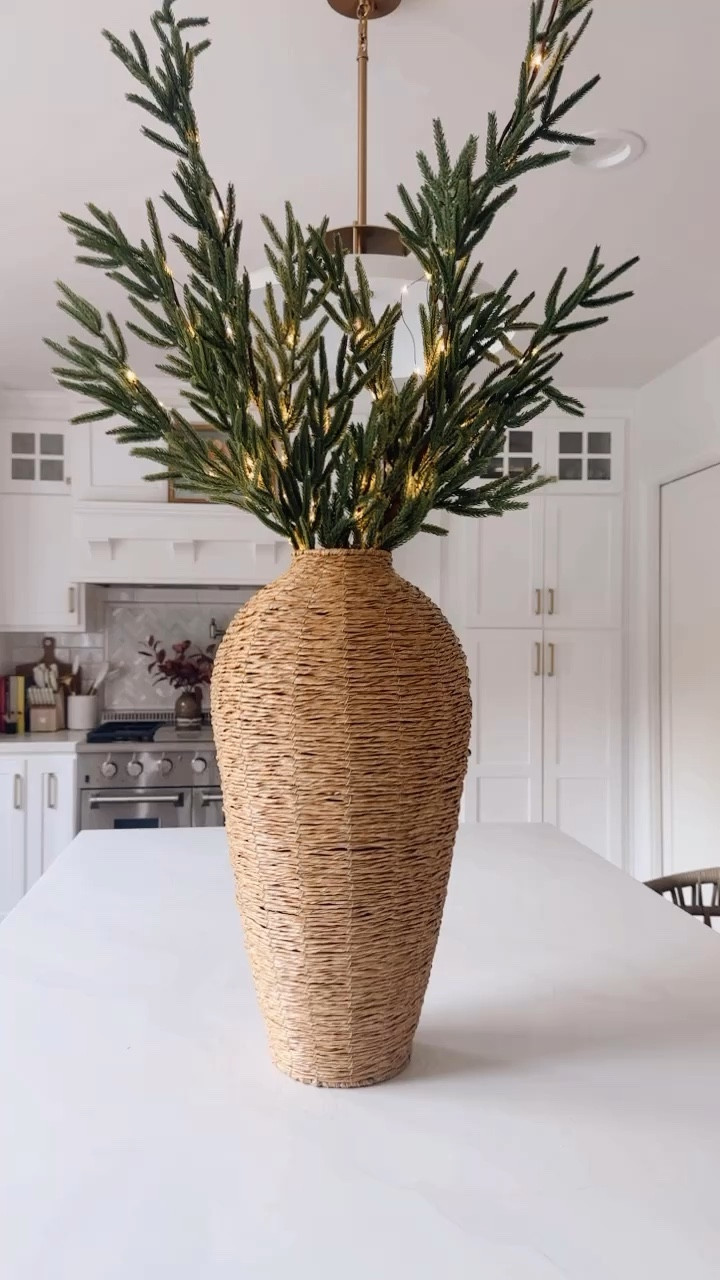 Norfolk stems look for less battery operated and only $15

#LTKSeasonal #LTKHome