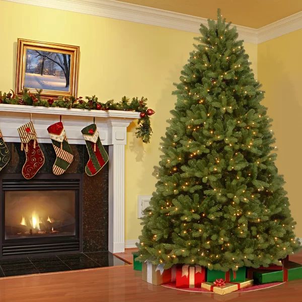 Newberry Spruce Green Artificial Christmas Tree with Clear/White Lights | Wayfair North America