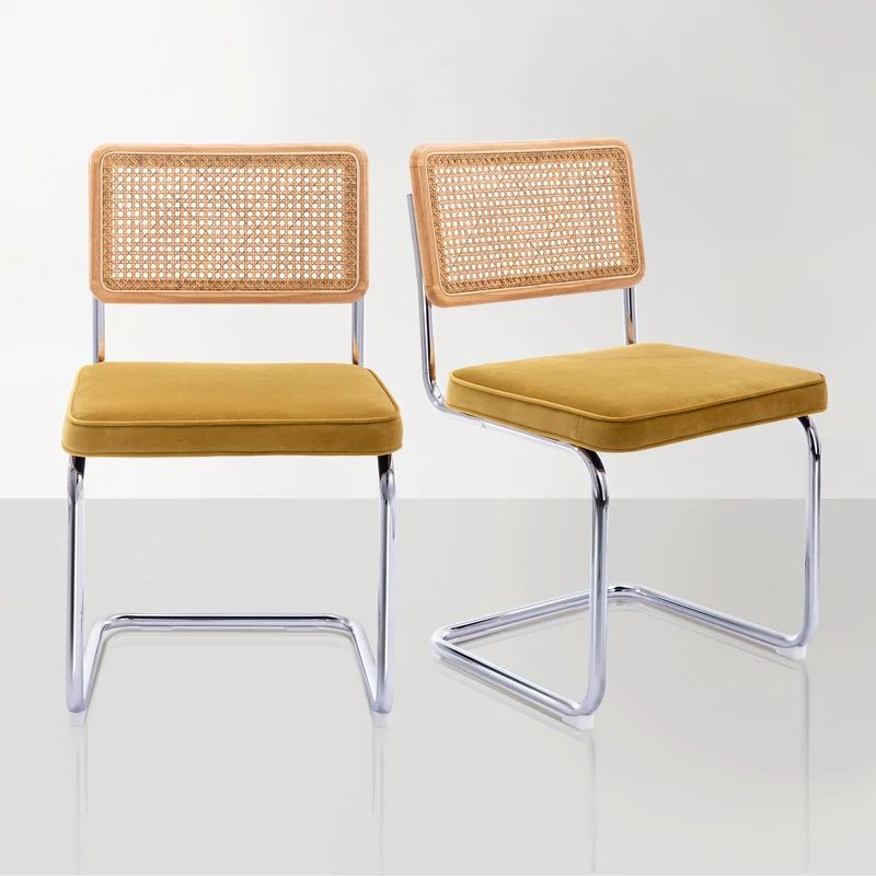 Crumley Velvet Upholstered Side Chair (Set of 2) | Wayfair North America