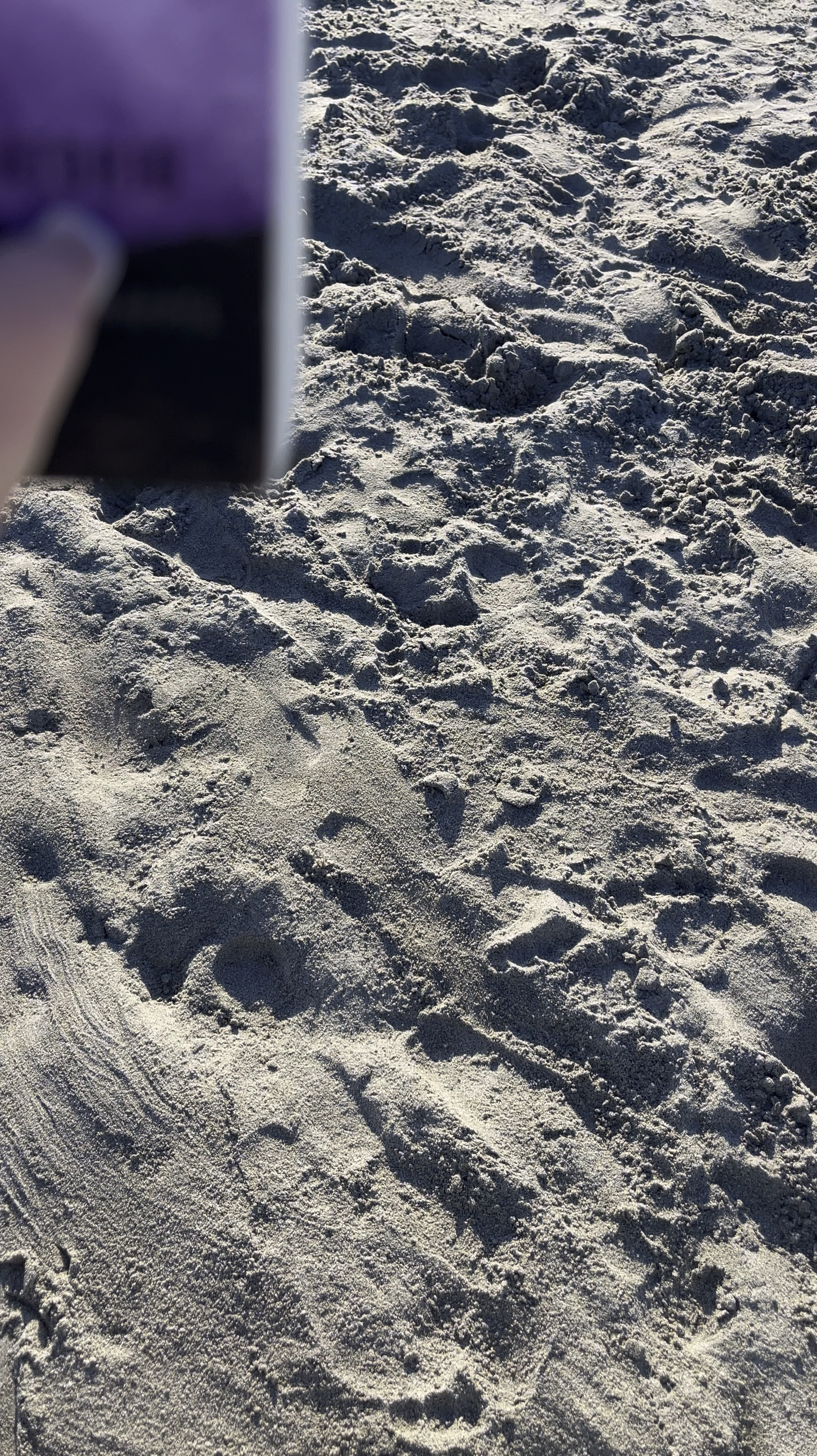 Currently Reading 📖 

The after series, after books, after we collided, Anna Todd, Anna Todd books, book club, babes in the covers, book recommendation, reading club, books to read. #babesinthecovers #jenniferxerin #ltkbooks 

#LTKVideo #LTKtravel #LTKxTarget