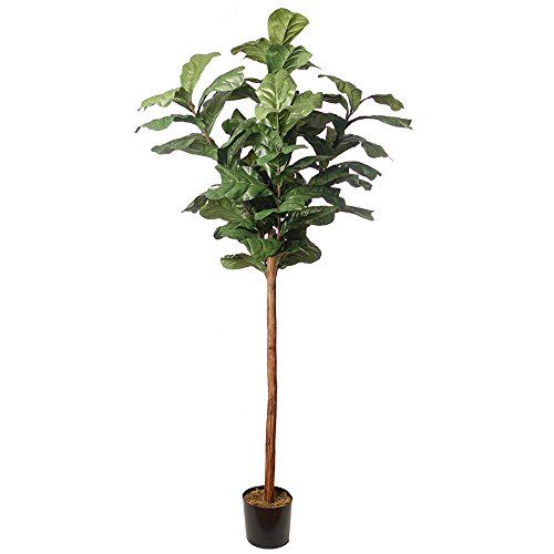 7' Fiddle Leaf Fig Silk Tree w/Pot -Green | Amazon (US)