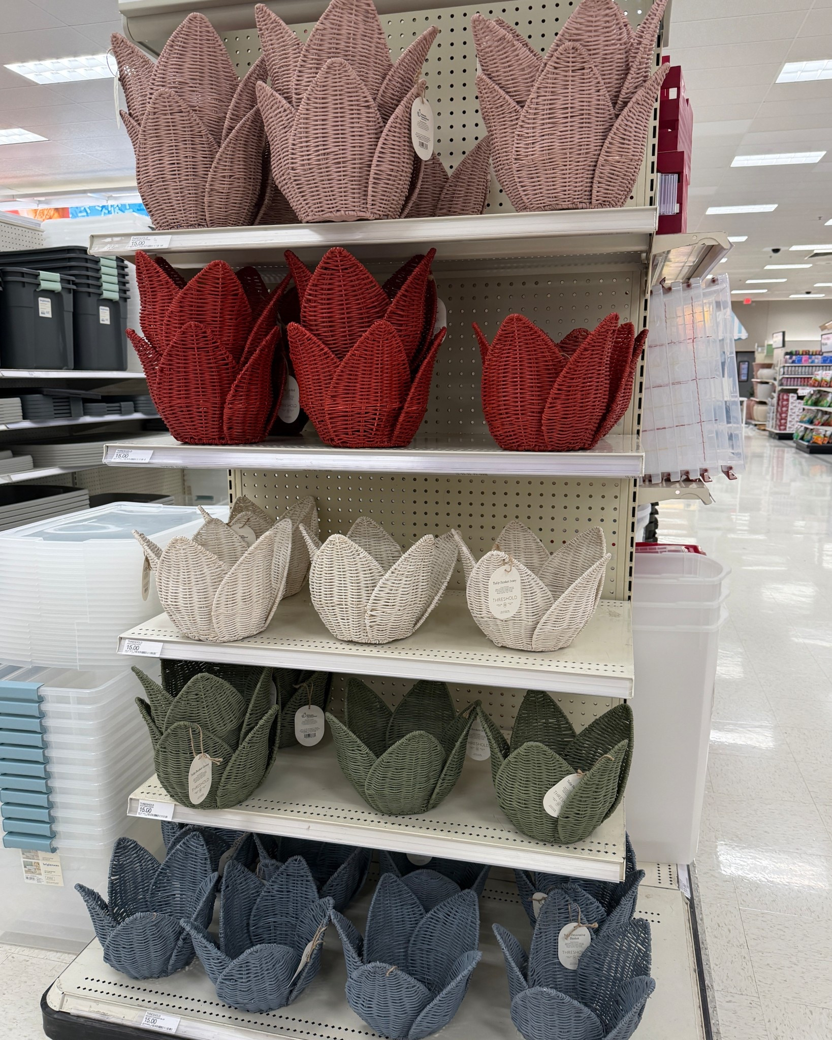 The cutest tulip baskets! These would make great Valentine’s, valentines or birthday baskets! 

#LTKHome #LTKmomlife #LTKSaleAlert