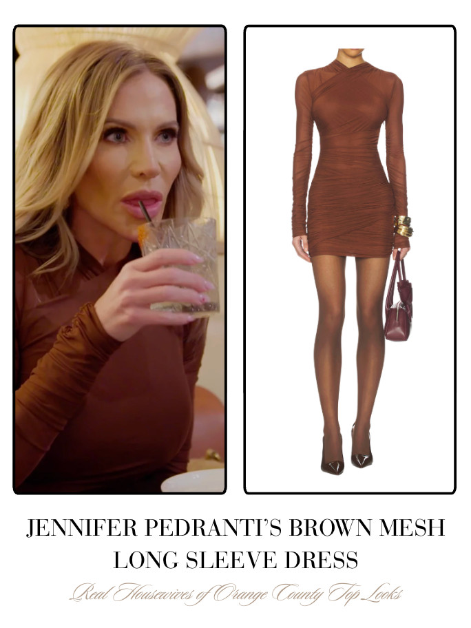 Jennifer Pedranti's Brown Mesh Long Sleeve Dress 

 