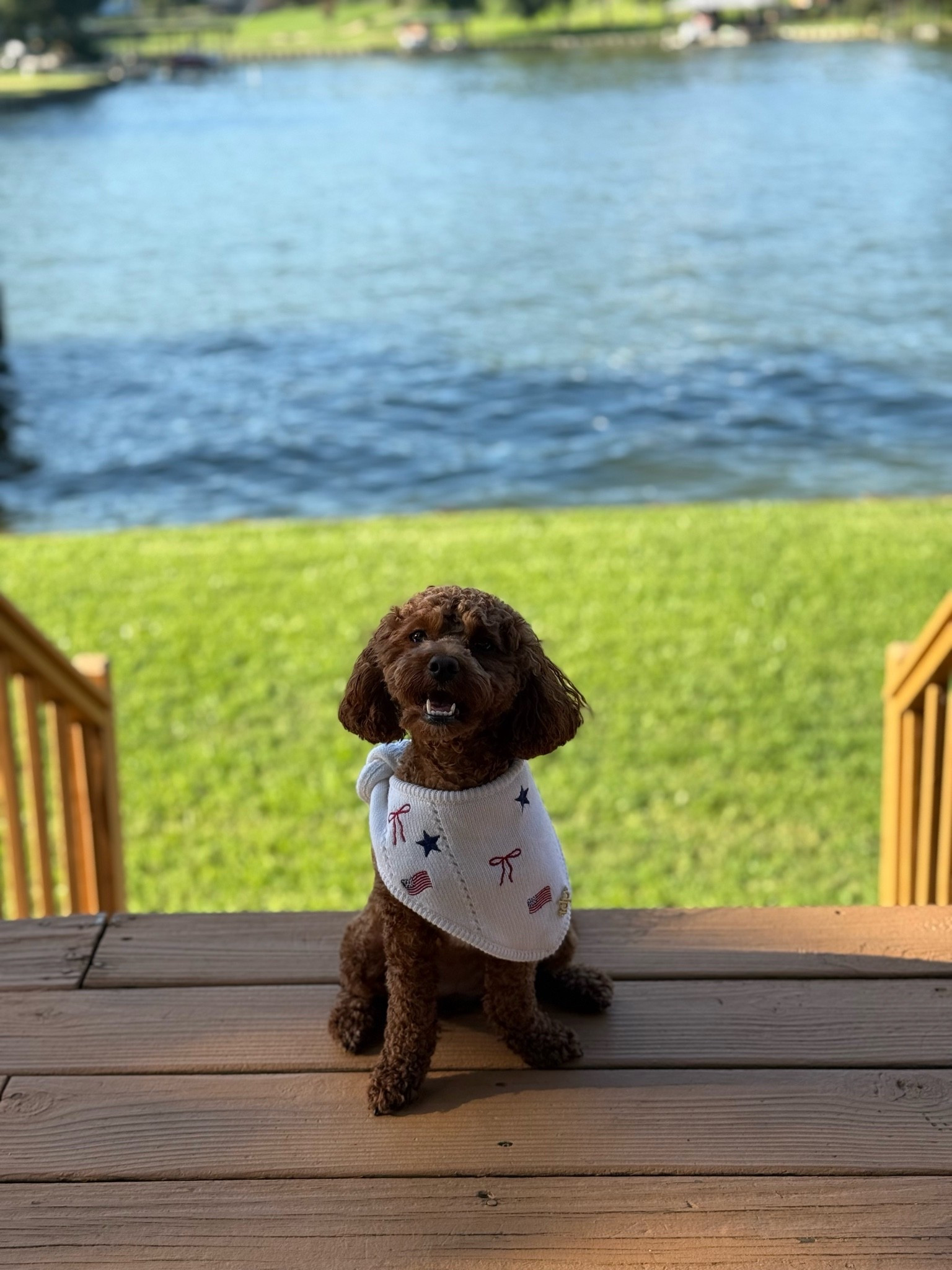 The cutest dog bandanas. Red white and blue Fourth of July dog bandana puppy must haves
