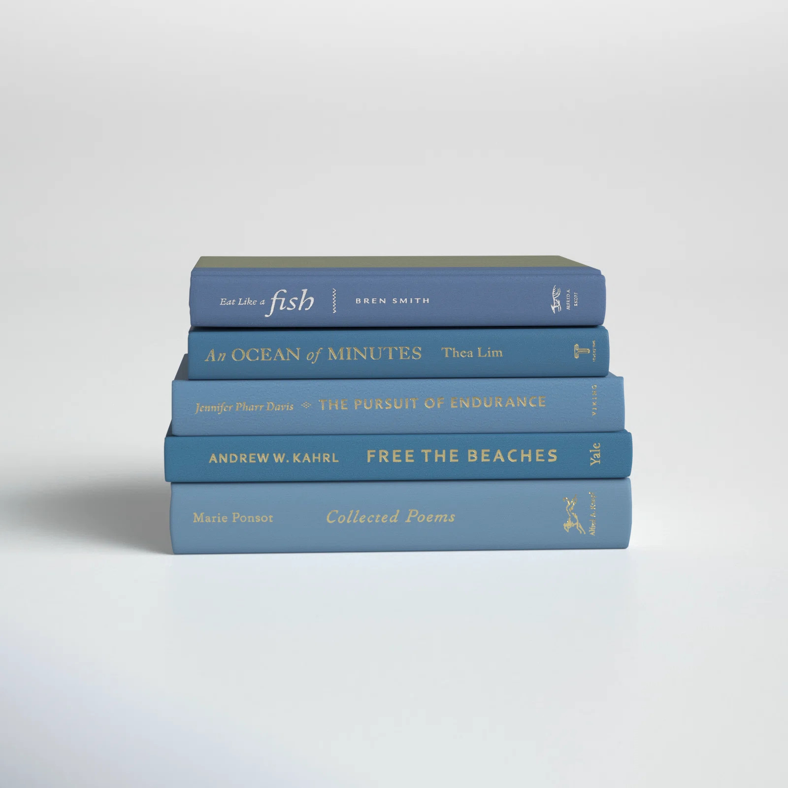 Bingham Modern 5 Piece Decorative Book | Birch Lane