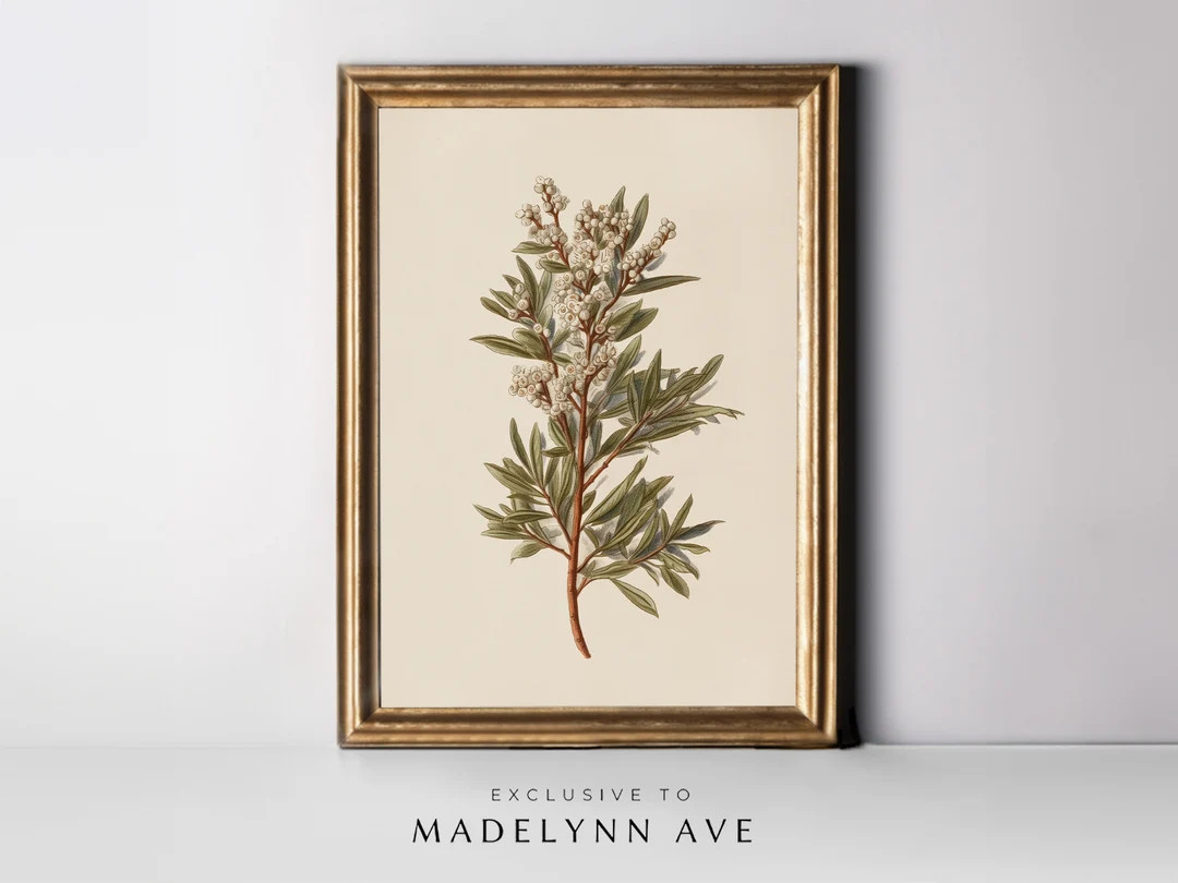 Mistletoe Art Print, Vintage Christmas Art, Simple Holiday Art, Winter Botanical Art Print, Chris... | Etsy (US)