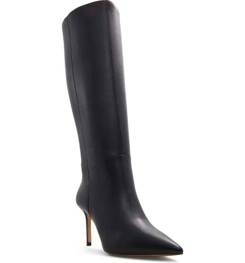 Laroche Pointed Toe Knee High Boot (Women) | Nordstrom