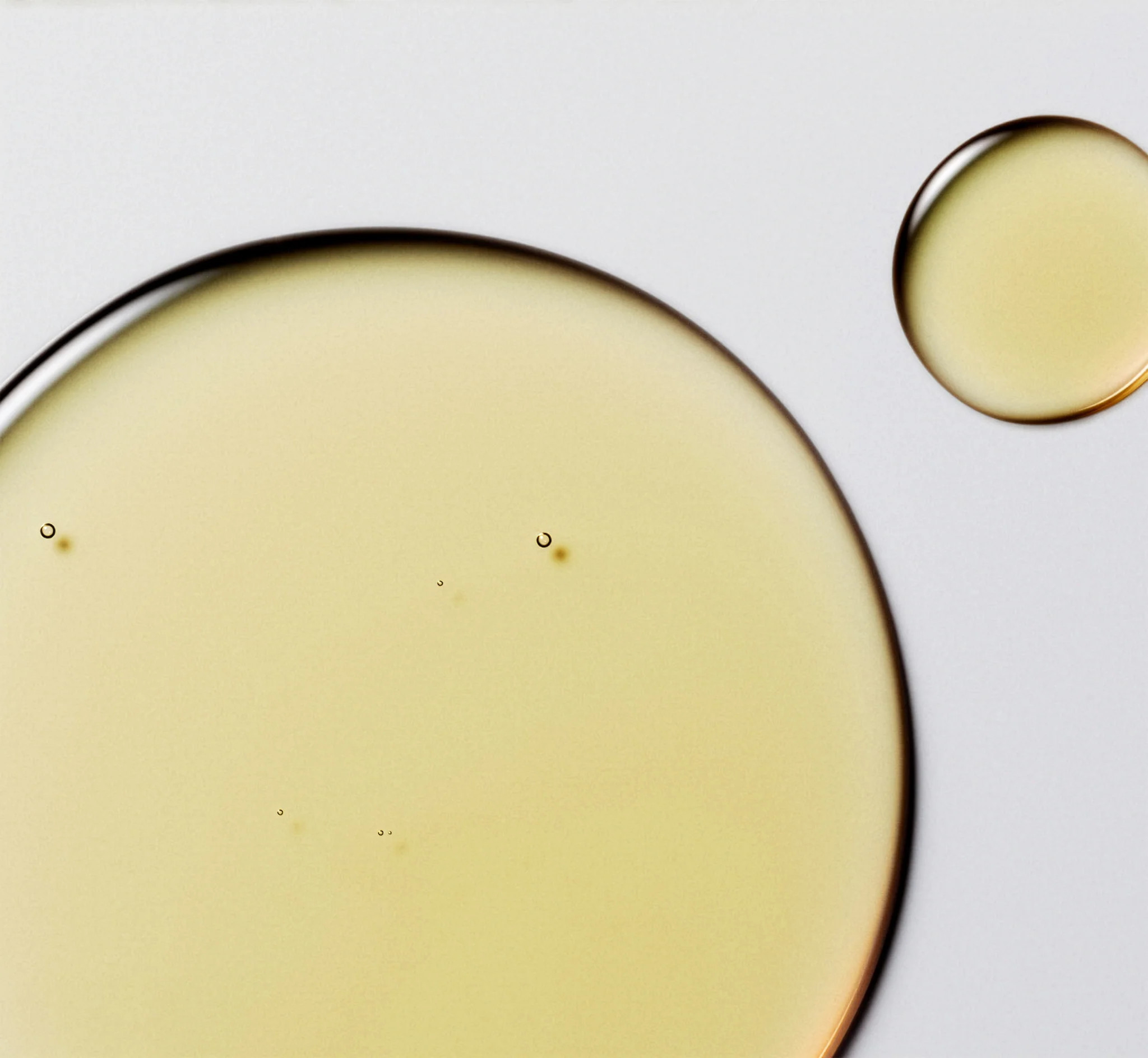 Body Oil | Salt & Stone