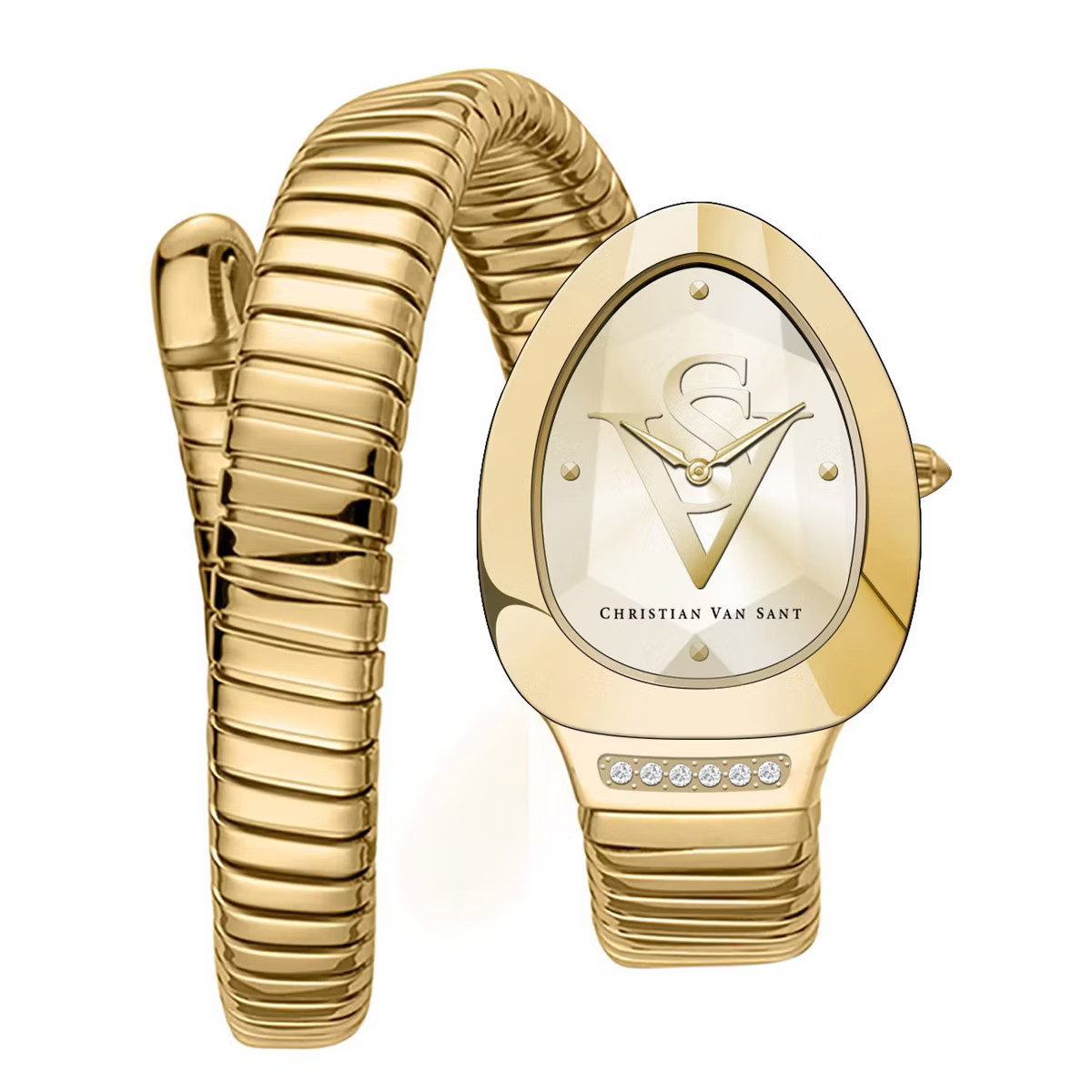 Christian Van Sant Women's Naga Gold Dial Watch - CV0874 | Target