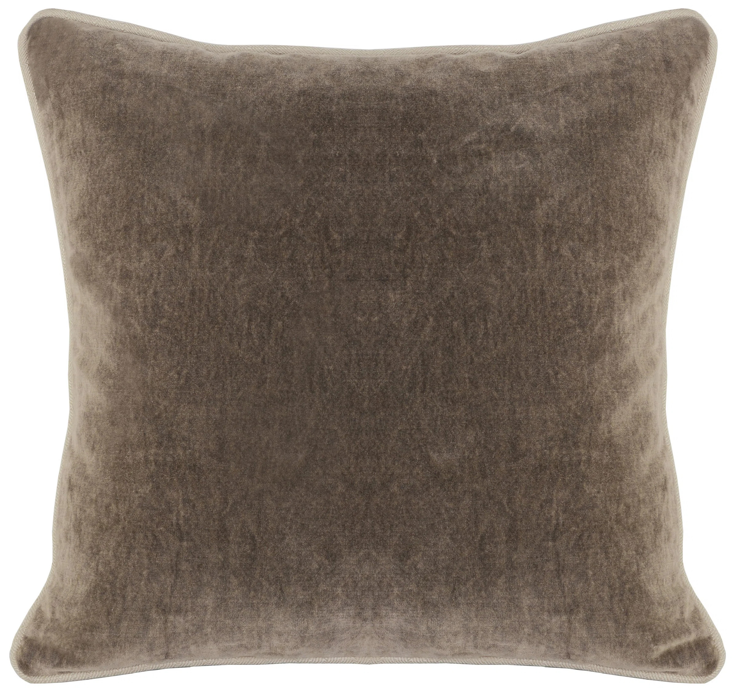 Birch Lane™ Goodall Square Velvet Pillow Cover & Insert & Reviews | Wayfair | Wayfair North America