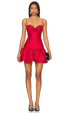 Annika Mini Dress
                    
                    For Love & Lemons | Revolve Clothing (Global)