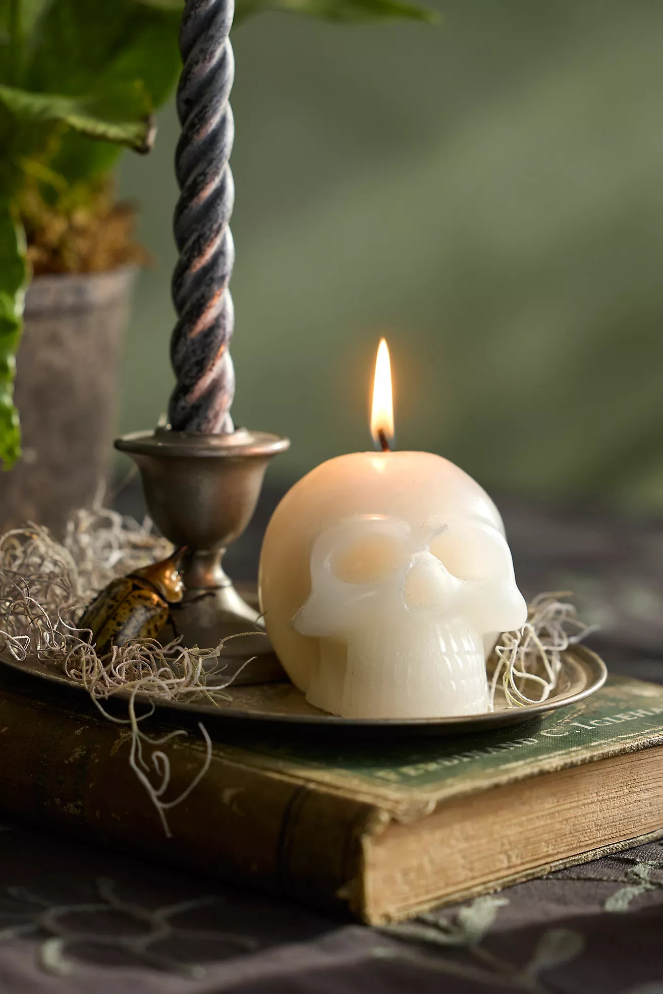 Terrain White Skull Candle | Anthropologie (US)