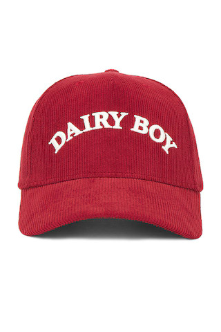 Dairy Boy Arch Corduroy Trucker Hat in Berry from Revolve.com | Revolve Clothing (Global)