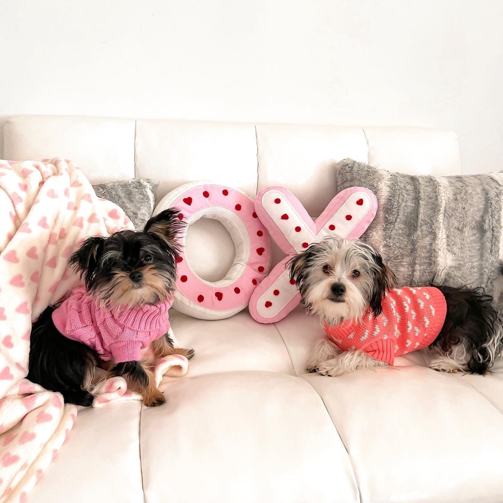 Valentines dog sweaters linked!💗🐶🐾🦴

#LTKsalealert #LTKhome #LTKfamily