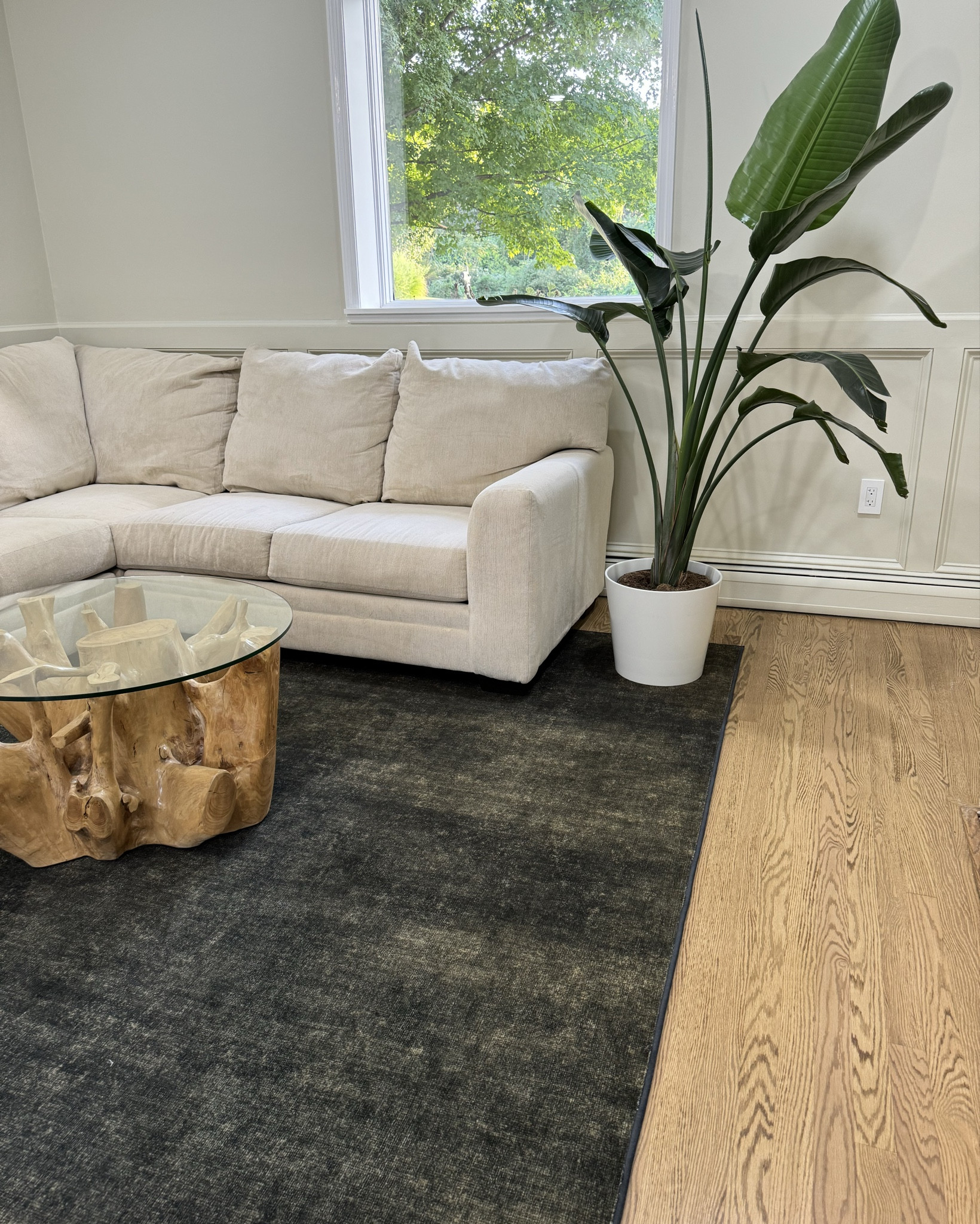 Dark green washable rug from ruggable! 
Color: olive
Size: 9:12

#LTKHome #LTKSaleAlert