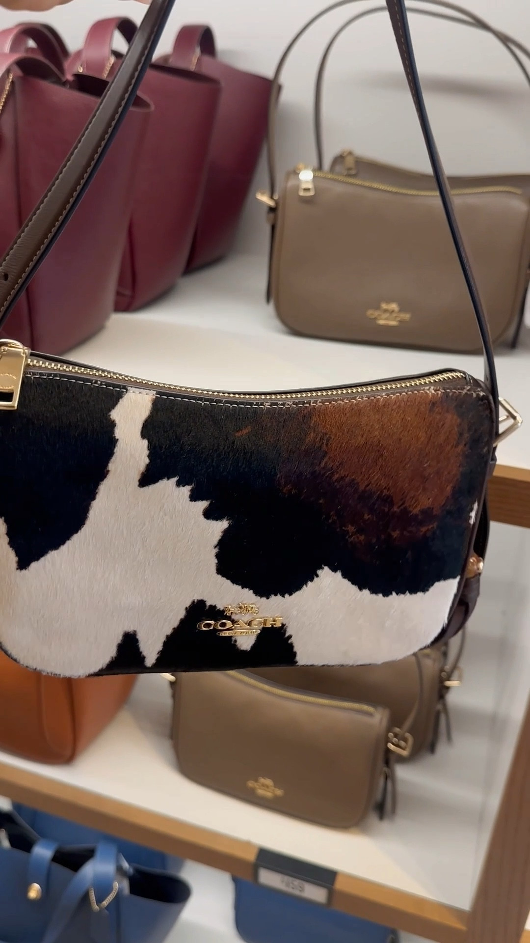 Haircalf heaven at the Coach outlet 😍✨ Which one would you snag first?


#LTKItBag #LTKStyleTip