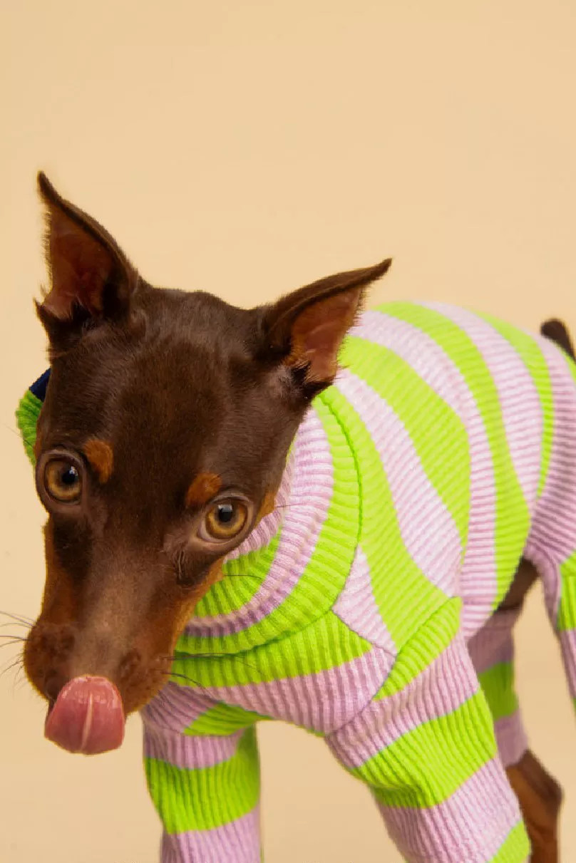 Little Beast Striped Pet Onesie | Urban Outfitters (US and RoW)