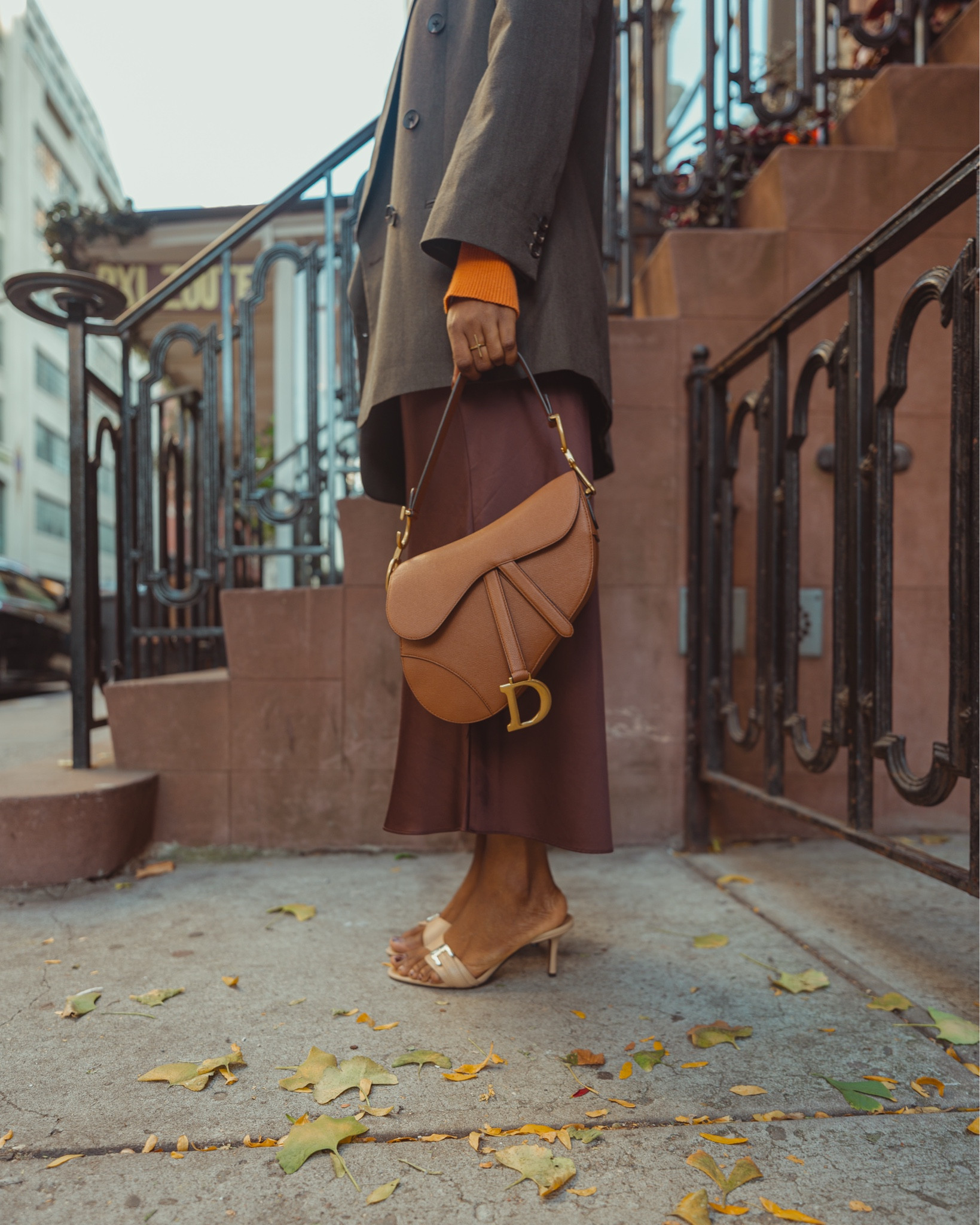 Finally got my dream saddle bag! Obsessed 🤎 Goes with mostly everything, especially browns.

#LTKStyleTip #LTKItBag #LTKTravel