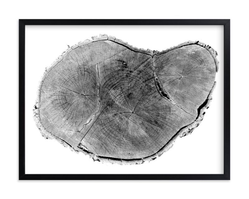 "Tree Rings pt. 1" - Photography Limited Edition Art Print by Mackenzie Darrach. | Minted