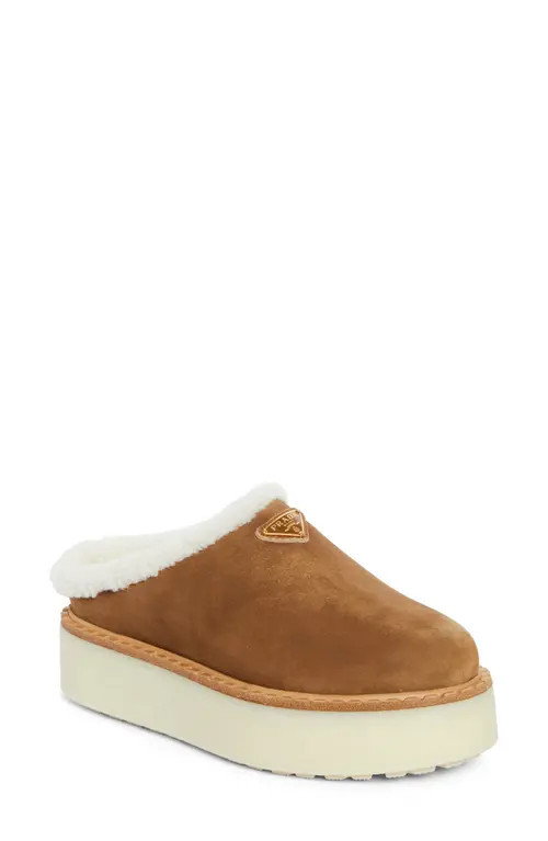 Prada Evolve Genuine Shearling Clog in Cannella at Nordstrom, Size 9.5Us | Nordstrom