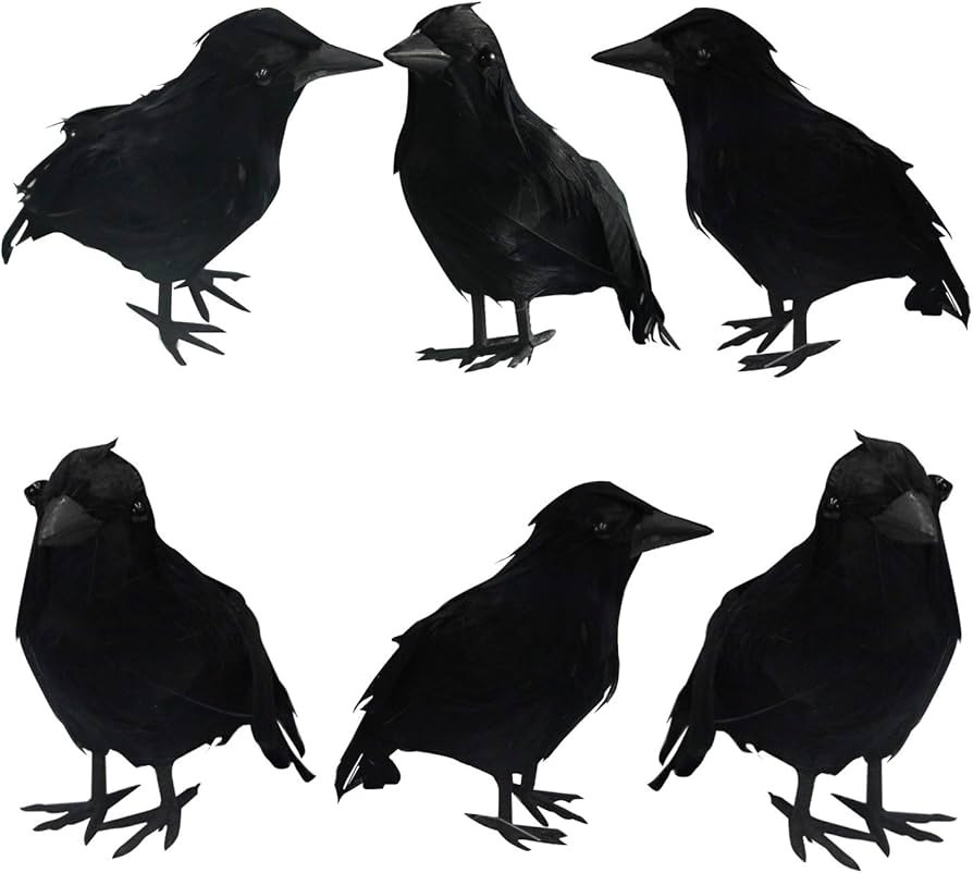 FUNPENY Halloween Black Feathered Crows, Lifelik Halloween Decoration Birds with Real Feather (6 ... | Amazon (US)
