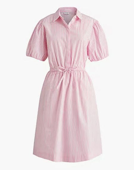 Puff sleeve drawstring waist shirt dress - comes in 5 colors! Pink dress 

#LTKSeasonal #LTKfindsunder100 #LTKsalealert
