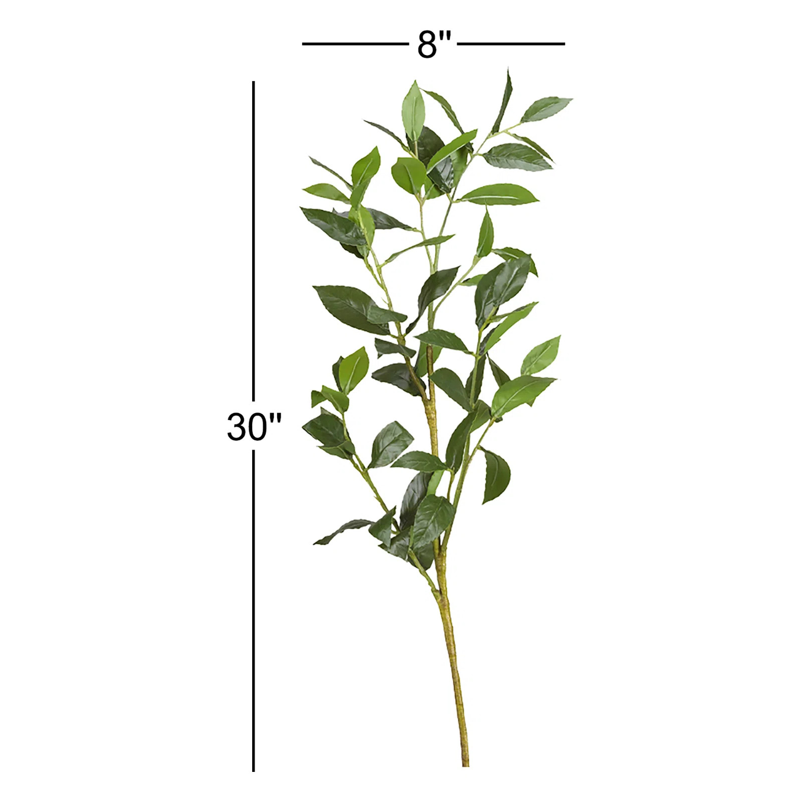 Bay Leaf Arrangement (Set of 3) | Wayfair North America