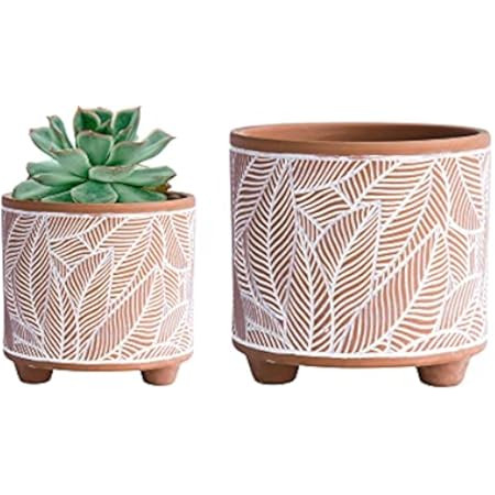 Set of 2 Terracotta Pots, Leaf Pattern Planter Pot, 4 Inch and 6 Inch, Pot with Drainage Hole and Sa | Amazon (US)