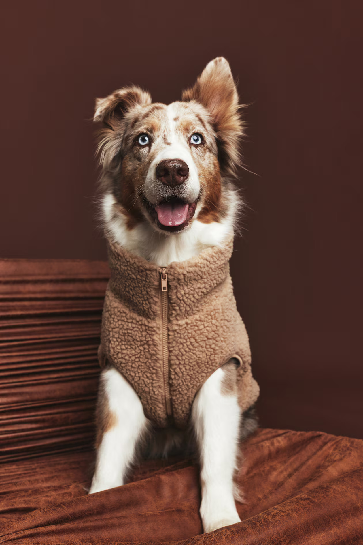 Teddy Fleece Dog Jacket - Beige - Ladies | H&M US | H&M (US + CA)