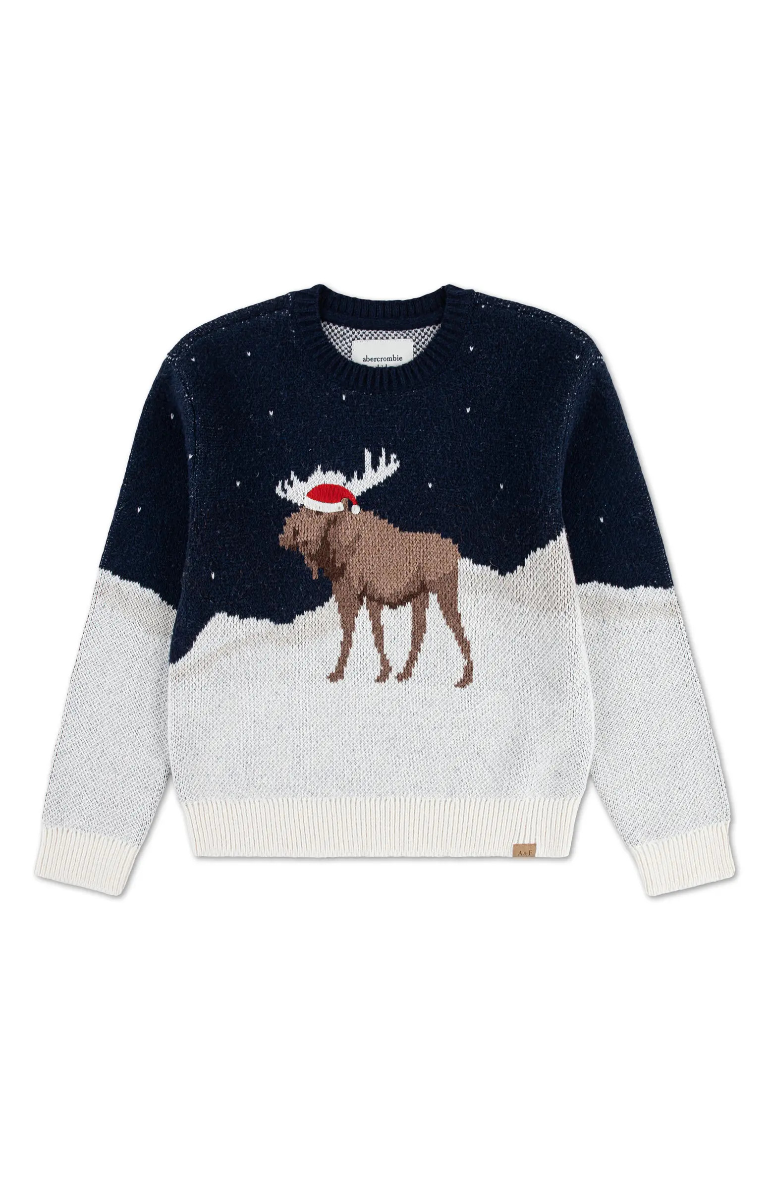 Kids' Moose Sweater | Nordstrom