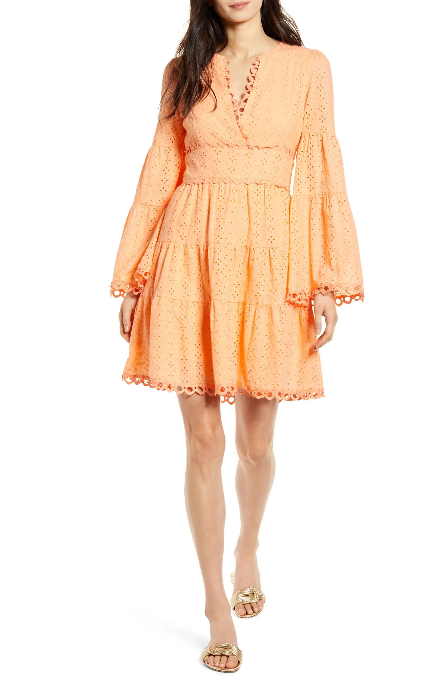 Talia Eyelet Long Sleeve A-Line Dress | Nordstrom