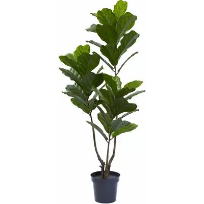 Fiddle Leaf Tree in Pot Size: 65" H x 24" W x 20" D | Wayfair North America