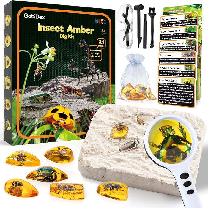 GobiDex Amber Dig Kit for Kids Ages 6+, Excavate 6 Insects Specimens     STEM Geographic Educatio... | Amazon (US)