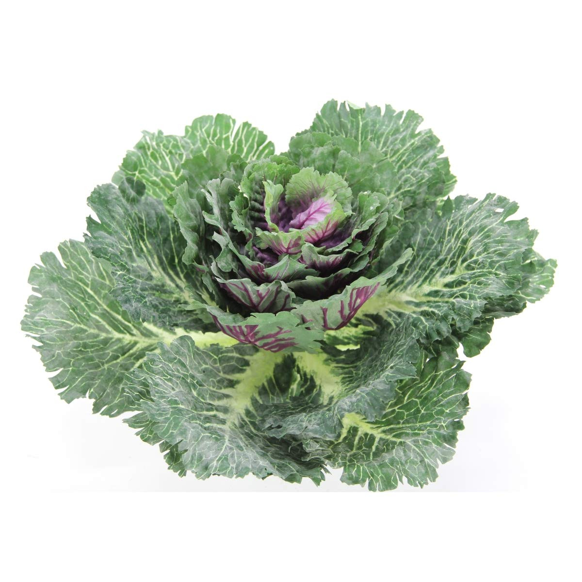 Admired by Nature GG8655-NATURAL 12 in.H Artificial Cabbage Home Kitchen Decoration, Green | Amazon (US)