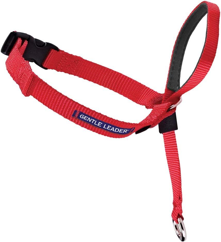 PetSafe Gentle Leader Headcollar, No-Pull Dog Collar – Perfect for Leash & Harness Training | Amazon (US)