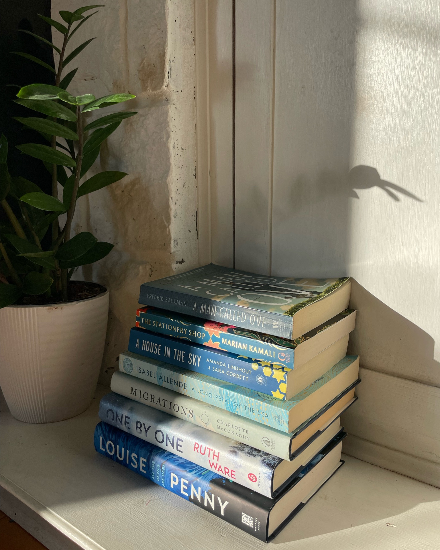 Blue books stack 📚 