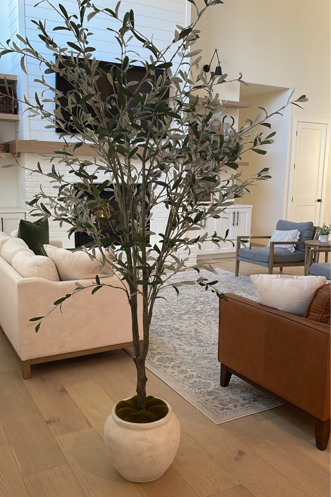 My faux olive tree is on major sale! 

#LTKsalealert #LTKhome