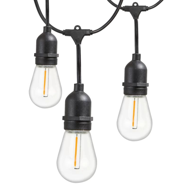 48' Outdoor 15- Bulb Standard String Light | Wayfair North America