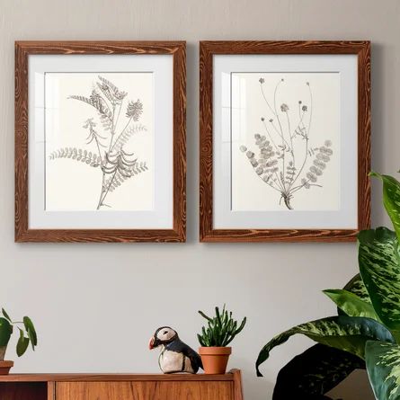 August Grove® Neutral Botanical Study VIIPremium Framed Print - Ready To Hang | Wayfair | Wayfair North America