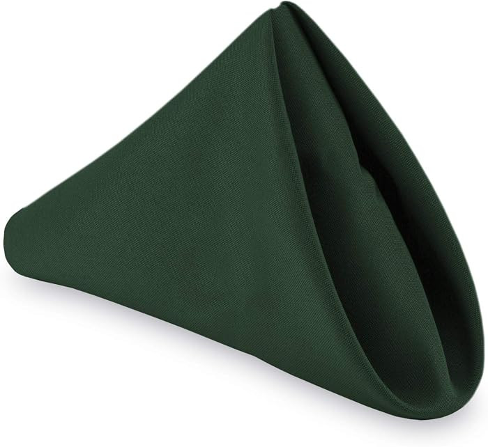 Lann's Linens - 1 Dozen 20" Oversized Cloth Dinner Table Napkins - Machine Washable Restaurant/We... | Amazon (US)
