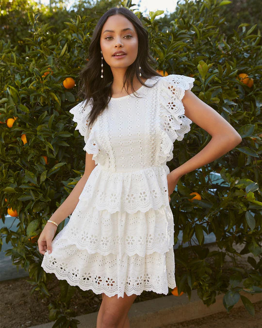 Lumina Eyelet Embroidered Mini Dress | VICI