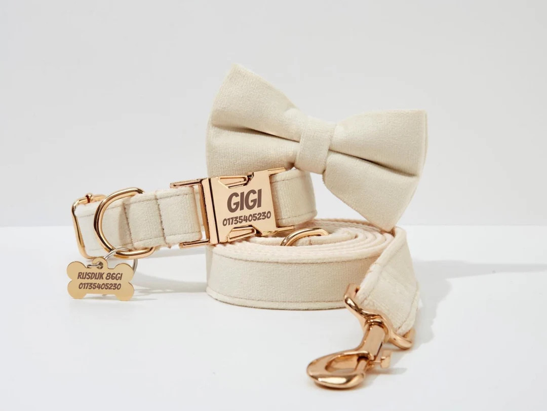 Cream Velvet Wedding Dog Collar Bow and Leash Set, Personalized Dog Accessories with Name Engravi... | Etsy (US)