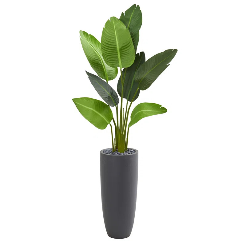 5.5' Traveler's Palm Artificial Tree In Gray Planter | Wayfair North America