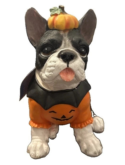 Halloween Boston Terrier/Frenchie Humane Society Resin Statue Figurine Pumpkin | eBay | eBay US