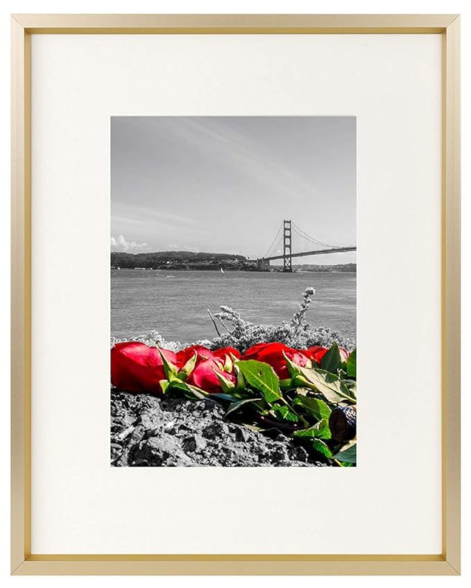 Frametory, 8x10 Table-Top Metal Picture Frame Collection, Aluminum Photo Frame with Ivory Color M... | Amazon (US)