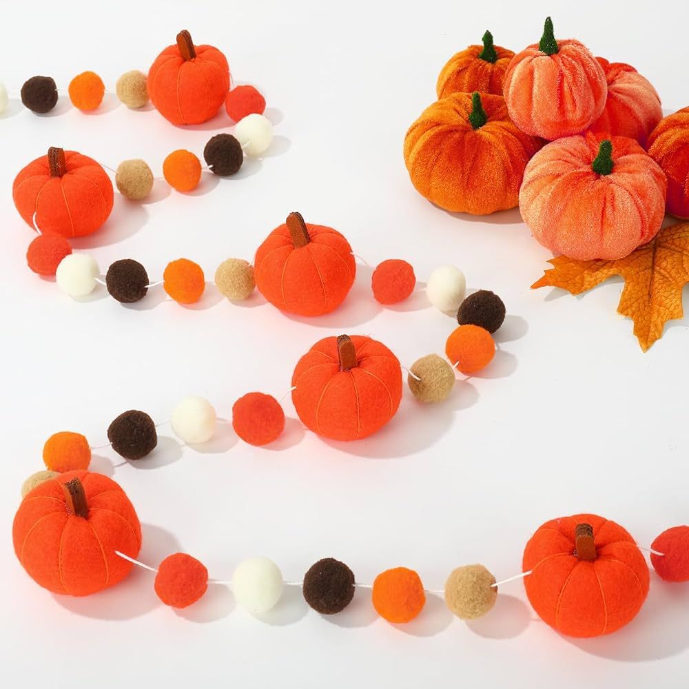 AnyDesign 8.2Ft Fall Felt Pom Pom Garland Cute 3D Pumpkins Pre-Assembled Hanging Banner Orange Wh... | Amazon (US)